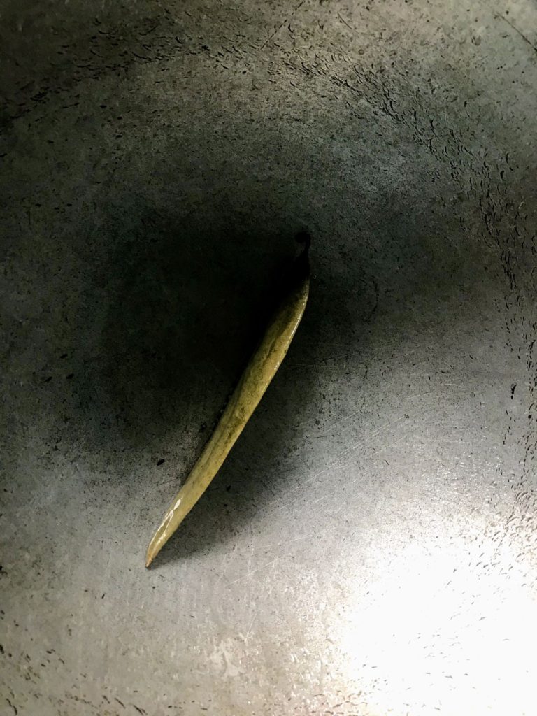 Bay leaf in hot oil.