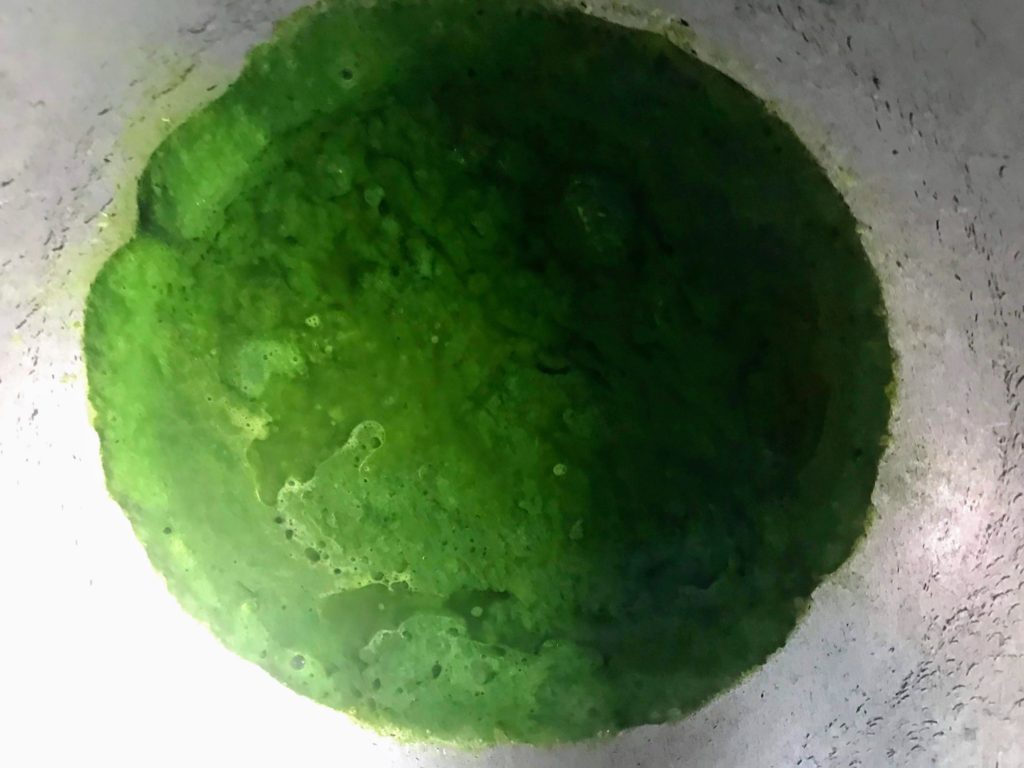 Spinach paste