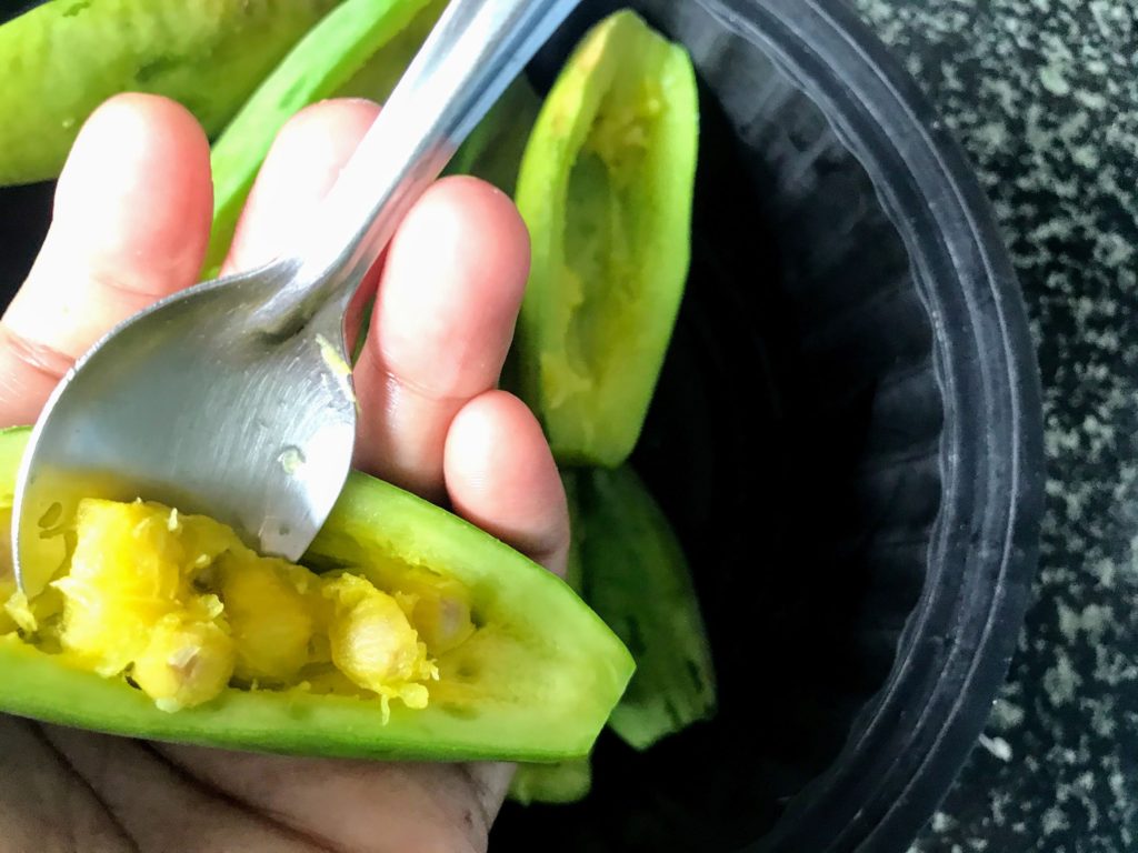 Scraping inner flesh of pointed gourds