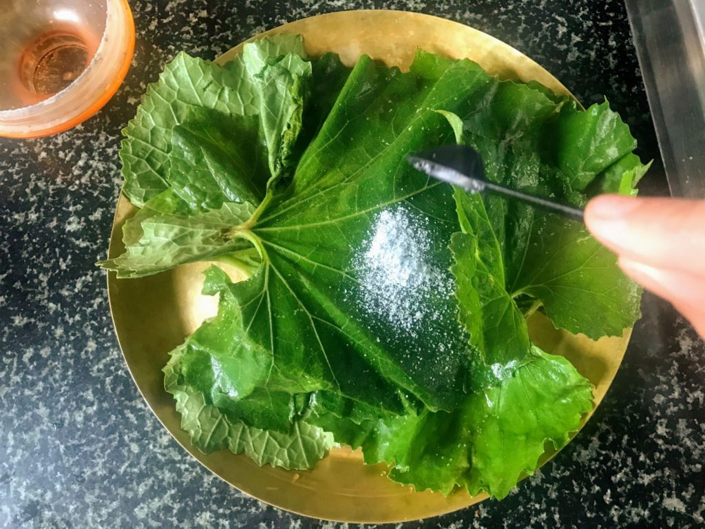 Salt on pumpkin leaves