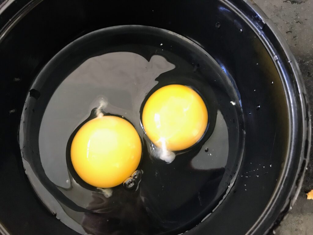 Egg Yolks